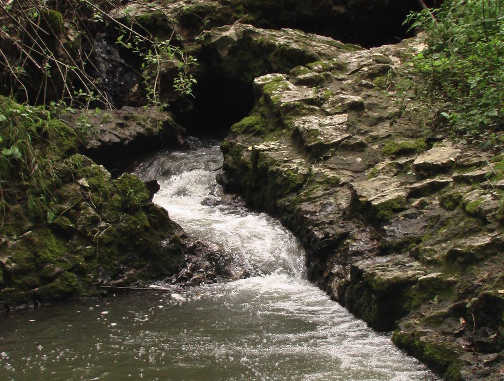 Il Molinaccio Al Rio Chiaro Villa Civitella dʼAgliano Exterior foto